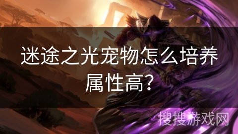 迷途之光宠物怎么培养属性高? 迷途之光宠物怎么培养属性高?