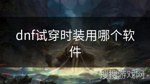 dnf试穿时装用哪个软件