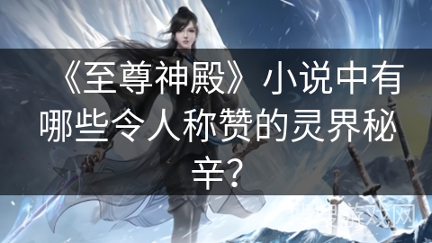 《至尊神殿》小说中有哪些令人称赞的灵界秘辛？