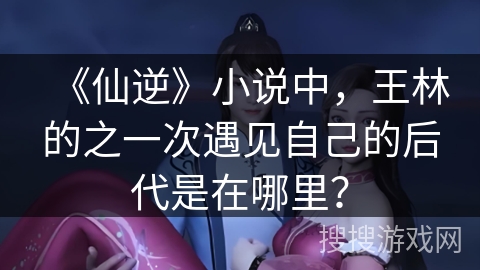 《仙逆》小说中，王林的之一次遇见自己的后代是在哪里？