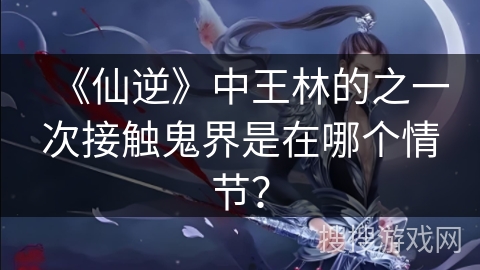 《仙逆》中王林的之一次接触鬼界是在哪个情节？