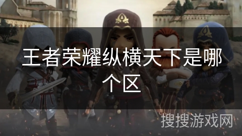 王者荣耀纵横天下是哪个区