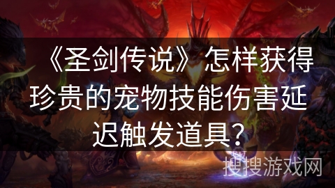 《圣剑传说》怎样获得珍贵的宠物技能伤害延迟触发道具？