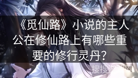 《觅仙路》小说的主人公在修仙路上有哪些重要的修行灵丹？