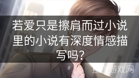 若爱只是擦肩而过小说里的小说有深度情感描写吗？