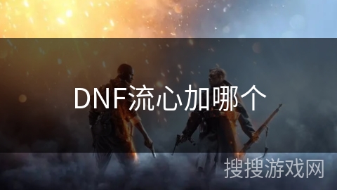 DNF流心加哪个
