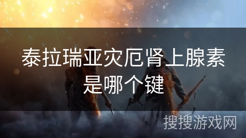 泰拉瑞亚灾厄肾上腺素是哪个键