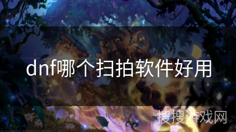 dnf哪个扫拍软件好用