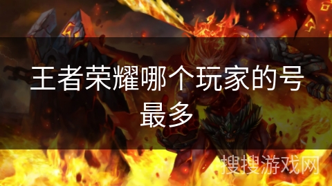 王者荣耀哪个玩家的号最多