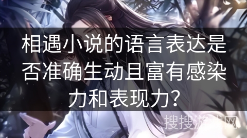 相遇小说的语言表达是否准确生动且富有感染力和表现力？