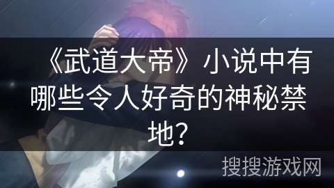 《武道大帝》小说中有哪些令人好奇的神秘禁地？