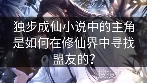 独步成仙小说中的主角是如何在修仙界中寻找盟友的？