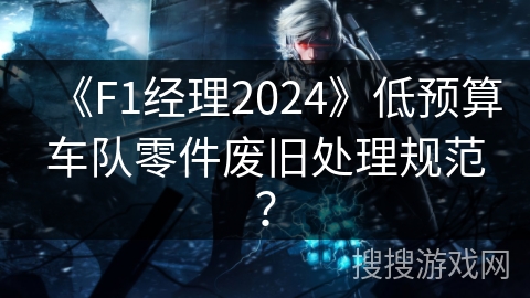 《F1经理2024》低预算车队零件废旧处理规范？