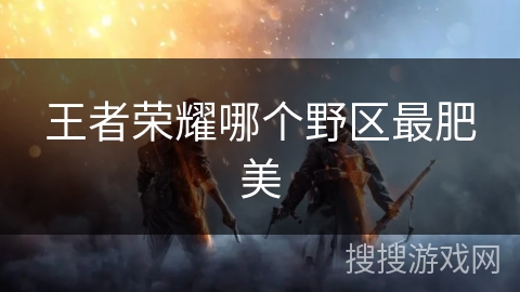 王者荣耀哪个野区最肥美