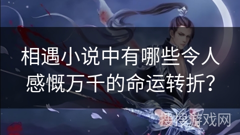 相遇小说中有哪些令人感慨万千的命运转折？