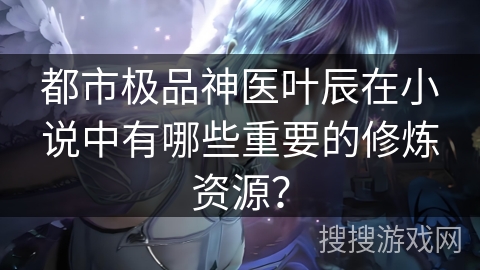 都市极品神医叶辰在小说中有哪些重要的修炼资源？