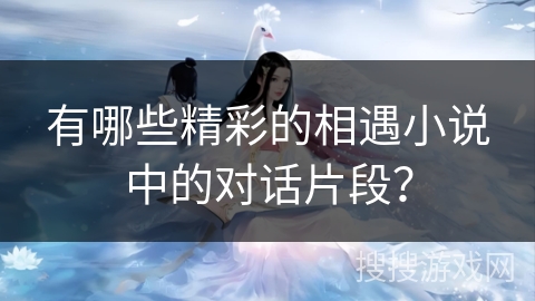 有哪些精彩的相遇小说中的对话片段？