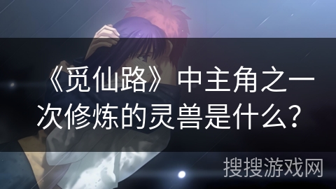 《觅仙路》中主角之一次修炼的灵兽是什么？