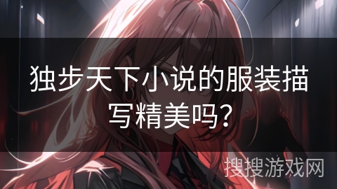 独步天下小说的服装描写精美吗？