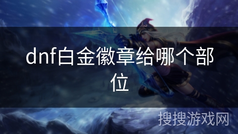 dnf白金徽章给哪个部位