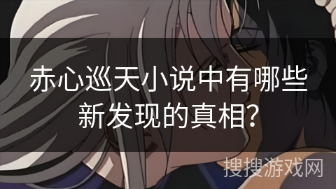 赤心巡天小说中有哪些新发现的真相？