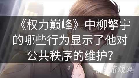 《权力巅峰》中柳擎宇的哪些行为显示了他对公共秩序的维护？