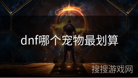 dnf哪个宠物最划算 dnf哪个宠物最划算