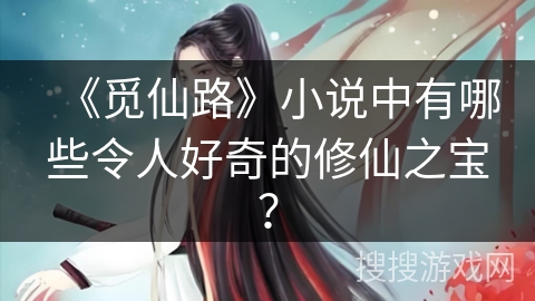 《觅仙路》小说中有哪些令人好奇的修仙之宝？
