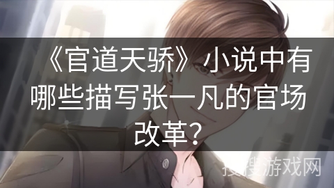 《官道天骄》小说中有哪些描写张一凡的官场改革？