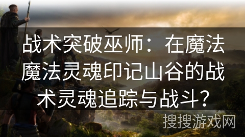 战术突破巫师：在魔法魔法灵魂印记山谷的战术灵魂追踪与战斗？