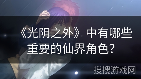 《光阴之外》中有哪些重要的仙界角色？