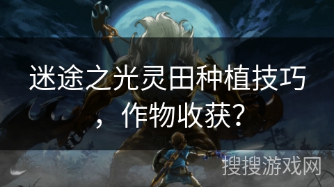 迷途之光灵田种植技巧,作物收获? 迷途之光灵田种植技巧,作物收获?