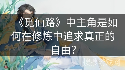 《觅仙路》中主角是如何在修炼中追求真正的自由？