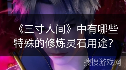 《三寸人间》中有哪些特殊的修炼灵石用途？