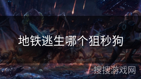 地铁逃生哪个狙秒狗