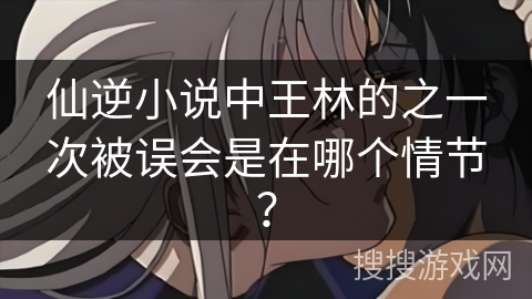 仙逆小说中王林的之一次被误会是在哪个情节？