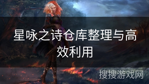 星咏之诗仓库整理与高效利用