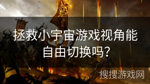 拯救小宇宙游戏视角能自由切换吗？