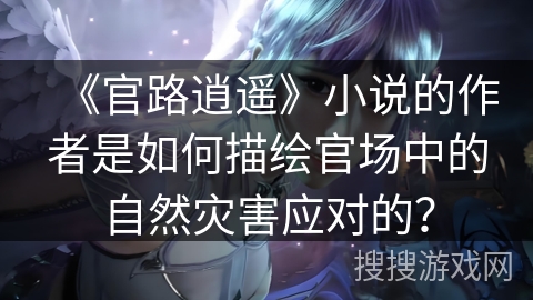 《官路逍遥》小说的作者是如何描绘官场中的自然灾害应对的？