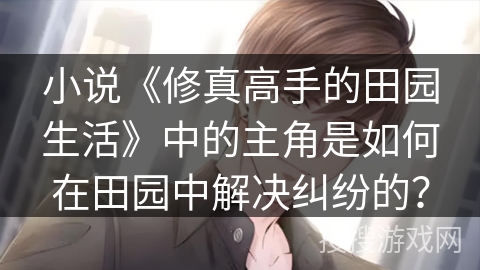 小说《修真高手的田园生活》中的主角是如何在田园中解决纠纷的？