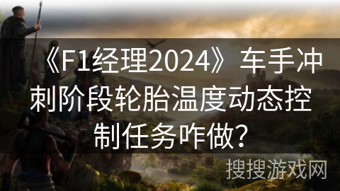 《F1经理2024》车手冲刺阶段轮胎温度动态控制任务咋做？