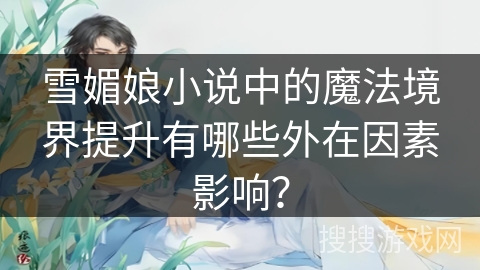 雪媚娘小说中的魔法境界提升有哪些外在因素影响？