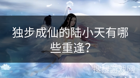 独步成仙的陆小天有哪些重逢？