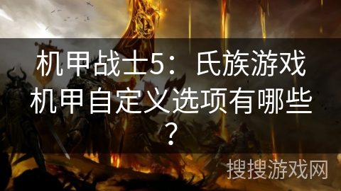 机甲战士5：氏族游戏机甲自定义选项有哪些？