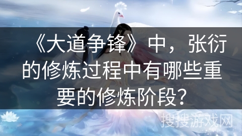 《大道争锋》中，张衍的修炼过程中有哪些重要的修炼阶段？