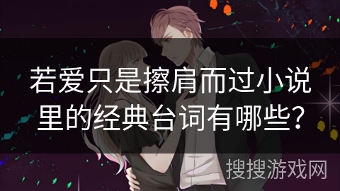 若爱只是擦肩而过小说里的经典台词有哪些？