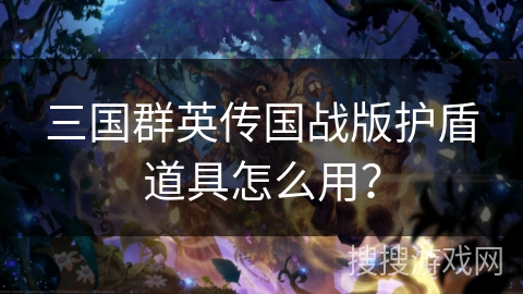 三国群英传国战版护盾道具怎么用？