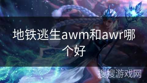 地铁逃生awm和awr哪个好