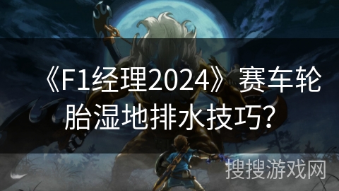 《F1经理2024》赛车轮胎湿地排水技巧？