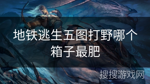 地铁逃生五图打野哪个箱子最肥